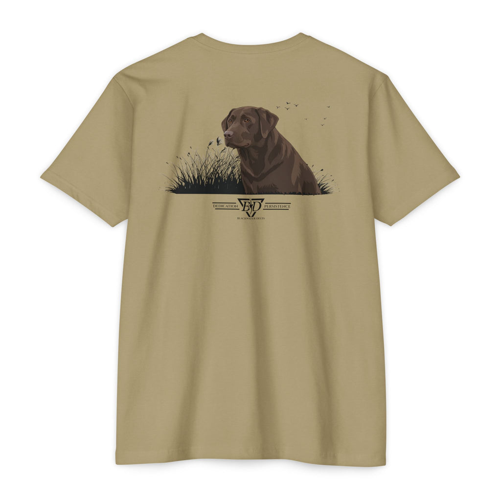 The Chocolate Lab