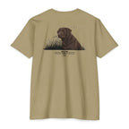 The Chocolate Lab