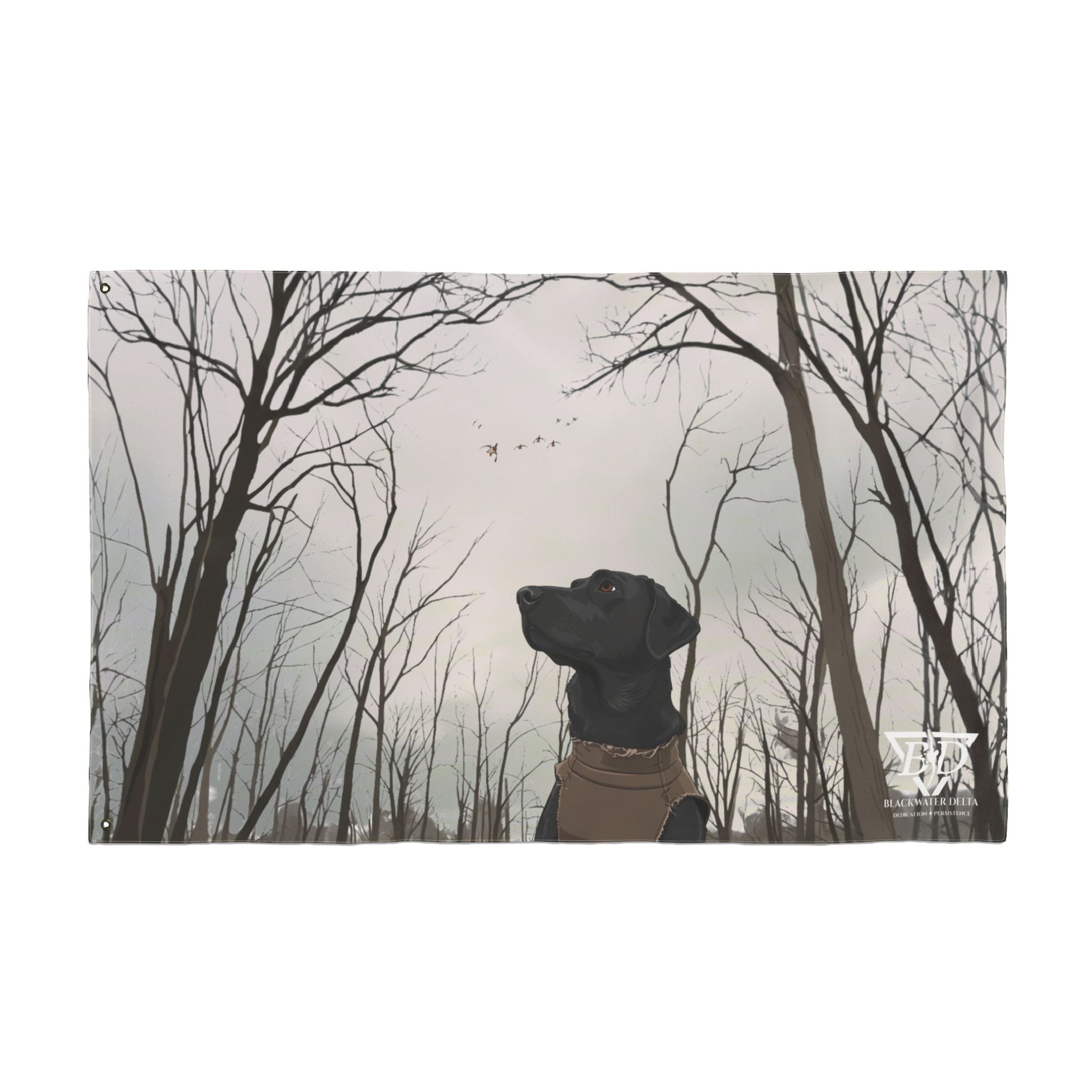 The Eyes to the Sky Flag