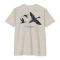 The Pintail
