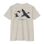 The Pintail